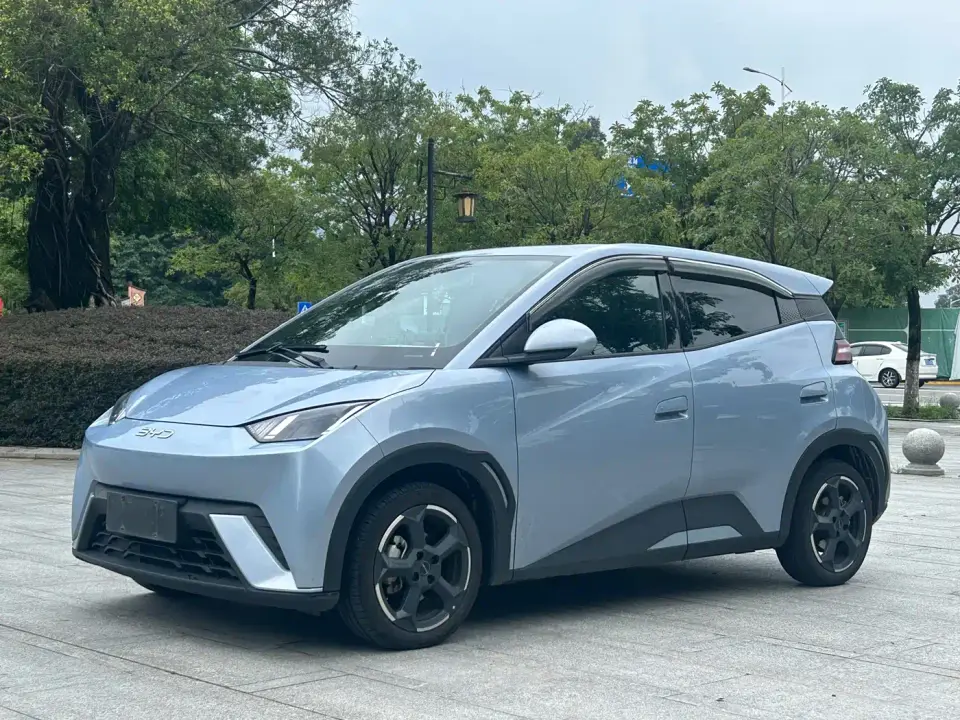 BYD Seagull Glory Edition 305km Freedom Edition 2024