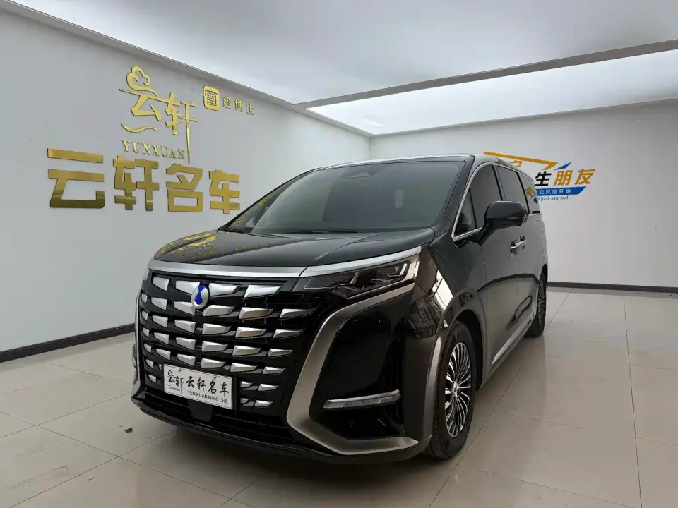Denza D9 DM-i 1050 Premium 2025