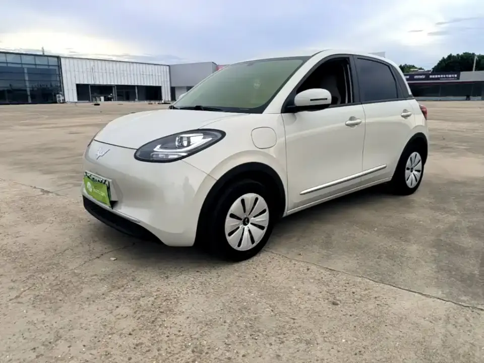 Wuling Motors Wuling Bingo 203km Lite Edition 2025