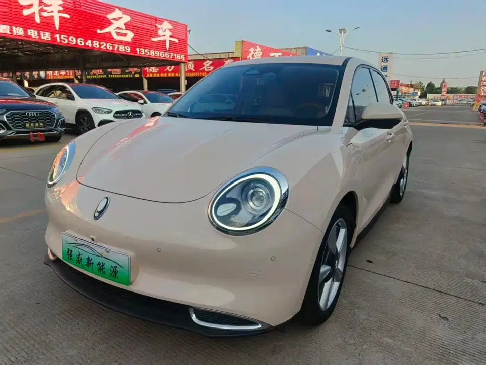 ORA Good Cat 400km Standard Range Athena Edition (LFP) 2021
