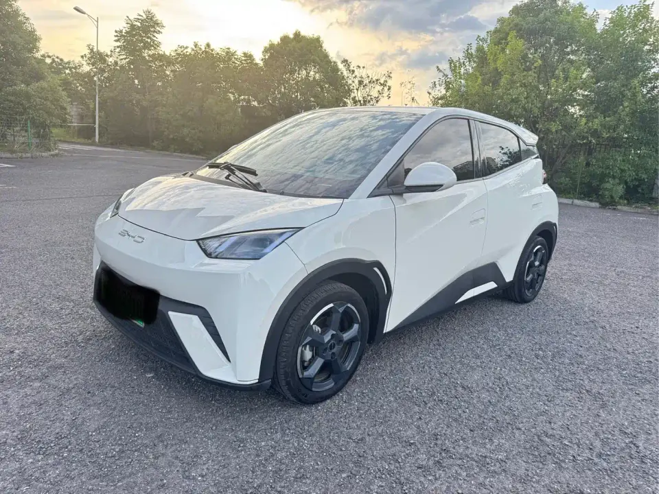 BYD Seagull Freedom Edition 2023