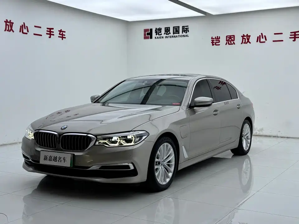 BMW 5 Series New Energy Facelift 530Le Luxury Package 2019