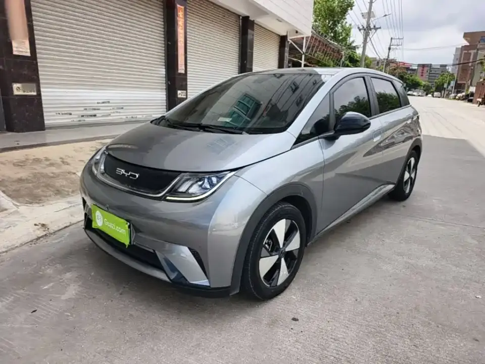 BYD Dolphin 420km Fashion Edition 2023