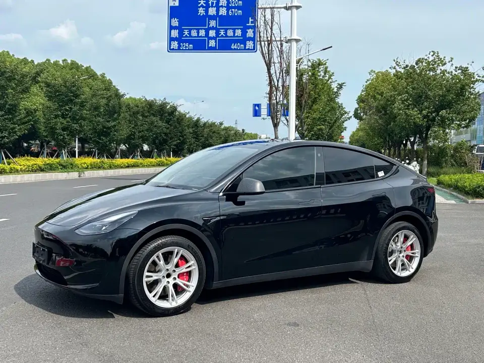 Tesla Model Y Rear-Wheel Drive Version 2022