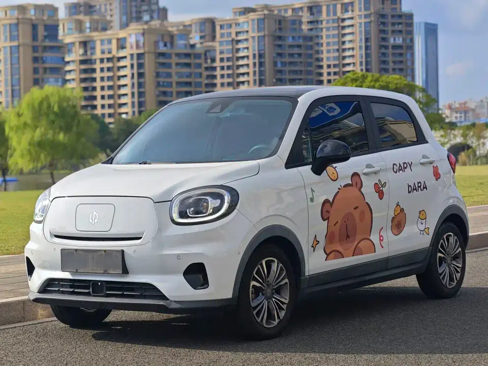 Leapmotor T03 400 Luxury Edition 2021