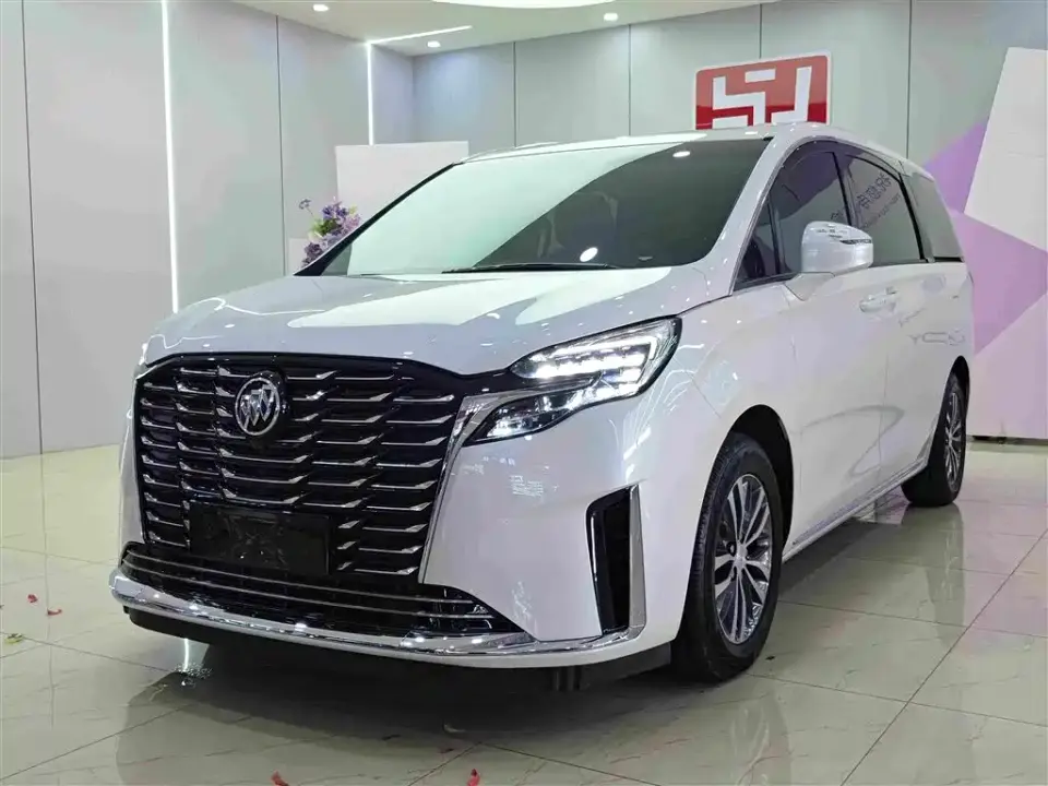 Buick GL8 ES Landmaster Comfort 2024
