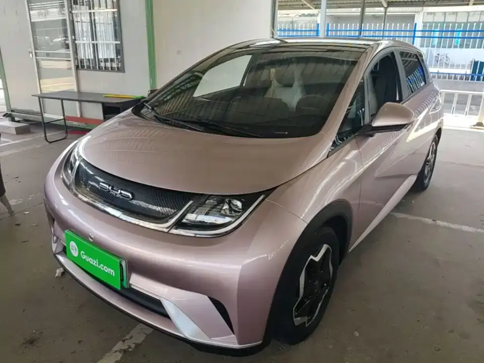 BYD Dolphin Model 405km Fashion Edition 2022