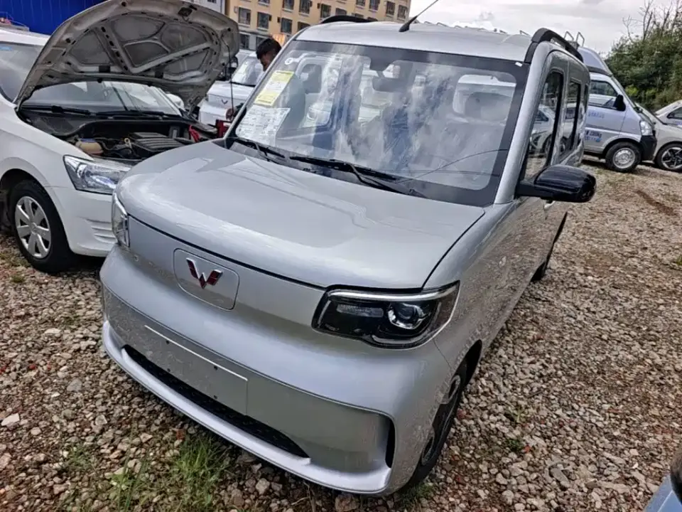 Wuling Motors Wuling Zhiguang NEV Model 305km Base Version 2026