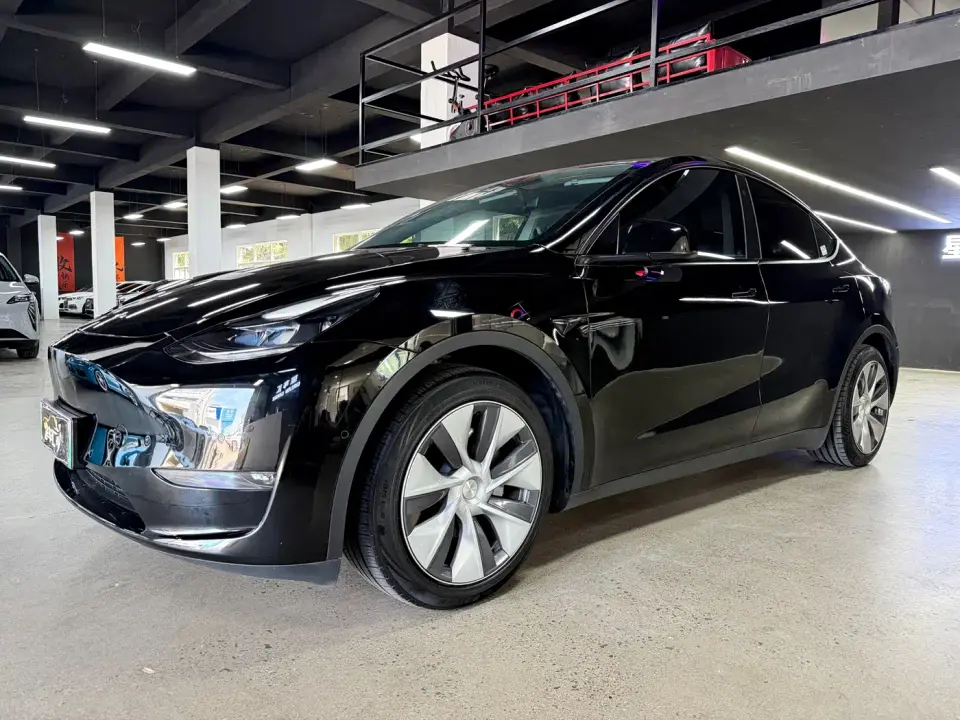 Tesla Model Y Standard Range Rear-Wheel Drive 2021