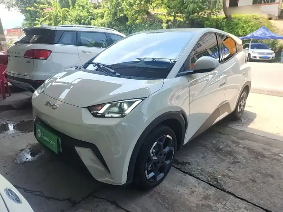 BYD Seagull Glory Edition 305km Freedom Edition 2024