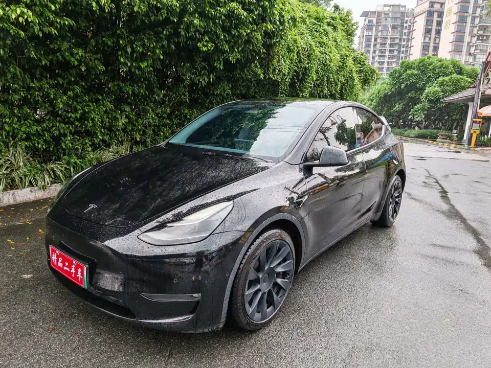 Tesla Model Y Standard Range Rear-Wheel Drive 2021