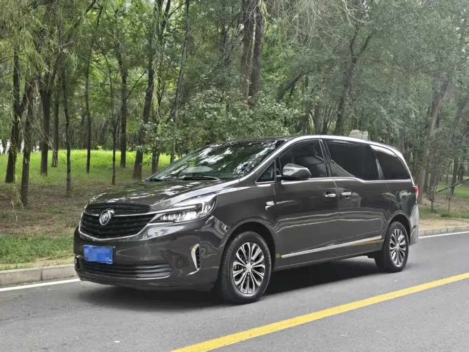 Buick GL8 Land Business Class 652T Luxury 2021
