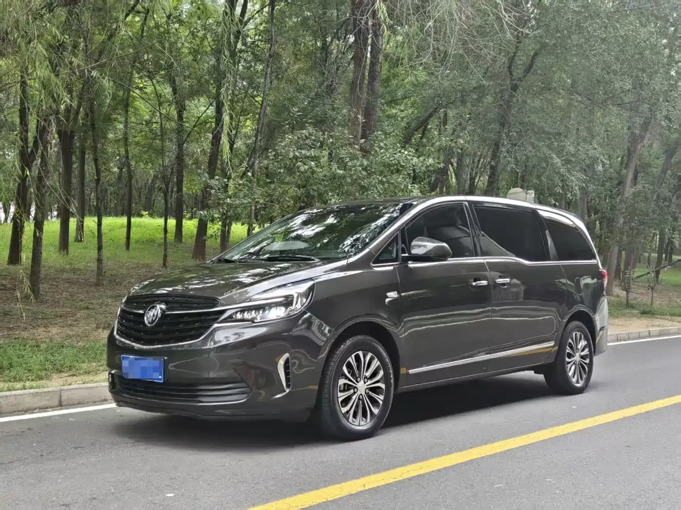 Buick GL8 Land Business Class 652T Luxury 2021