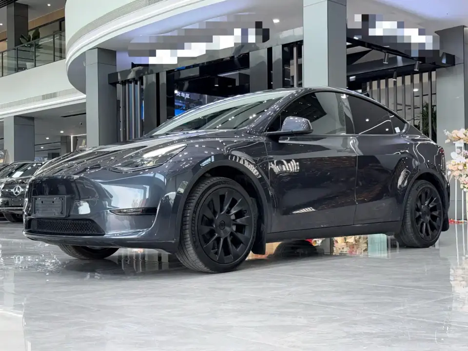 Tesla Model Y Rear-Wheel Drive Version 2024