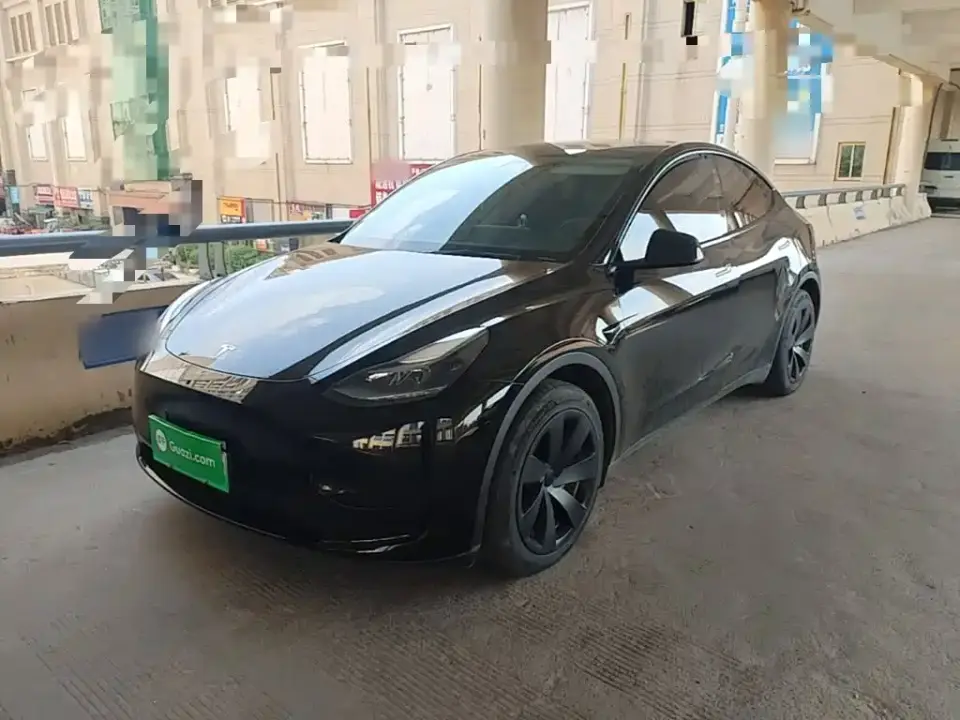 Tesla Model Y Rear-Wheel Drive Version 2022