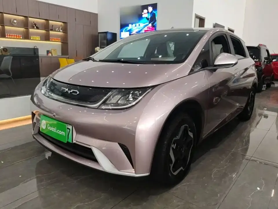 BYD Dolphin Model 405km Fashion Edition 2022