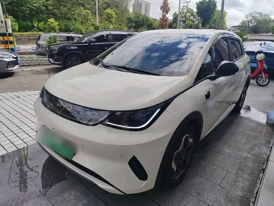 BYD Dolphin Smart Drive Edition 420km Freedom Version 2025