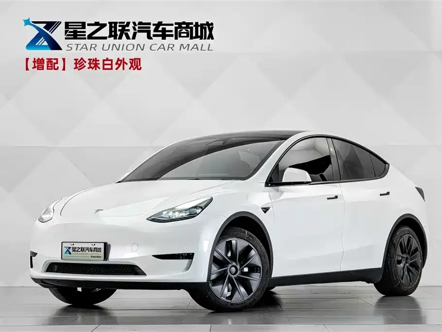 Tesla Model Y Rear-Wheel Drive Version 2024