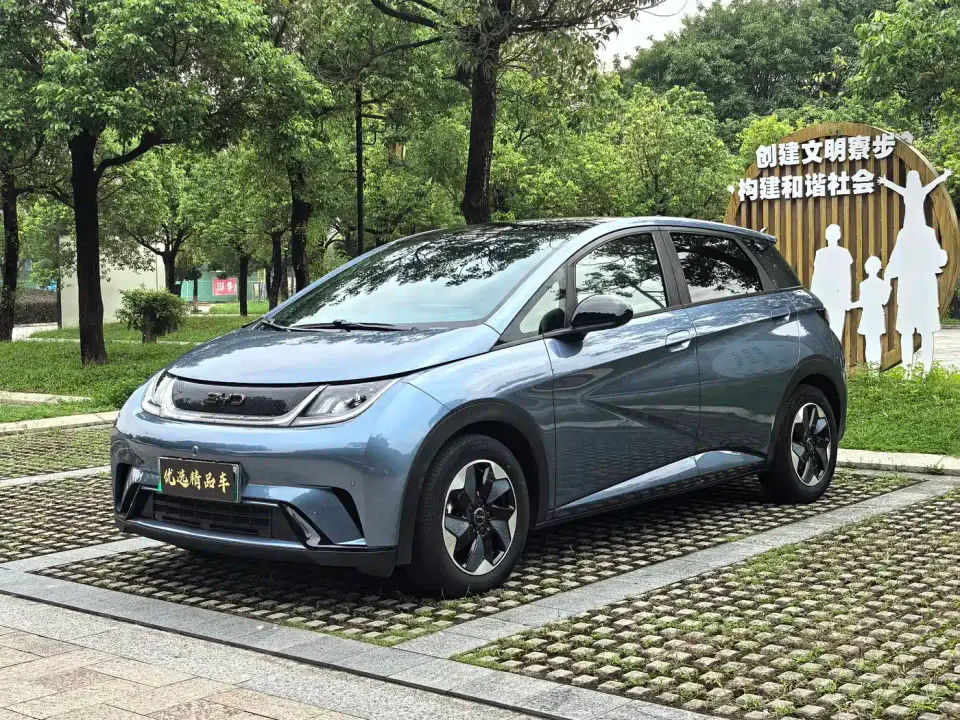 BYD Dolphin Glory Edition 420km Fashion Edition 2024