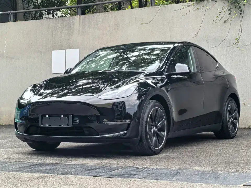 Tesla Model Y Model Long Range AWD 2021