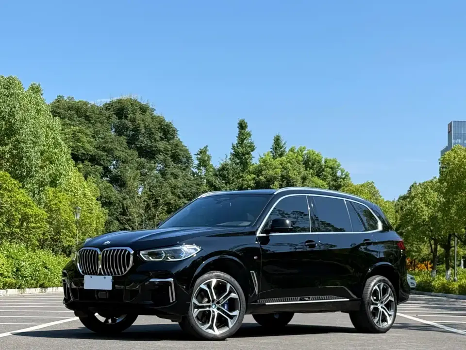 BMW X5 Facelift xDrive 40Li Premium M Sport Package 2023