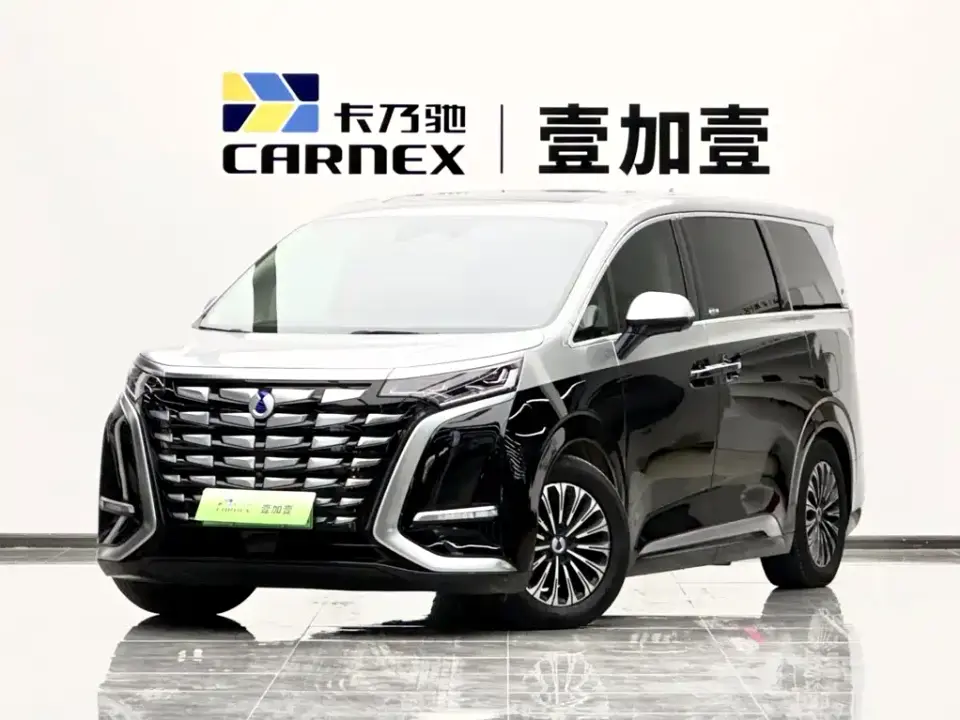 Denza D9 PIONEER 4-Seater Pioneer Edition 2024