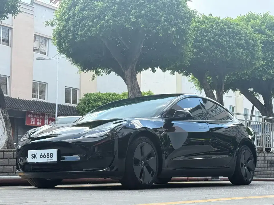 Tesla Model 3 Model Rear-Wheel Drive Version 2023