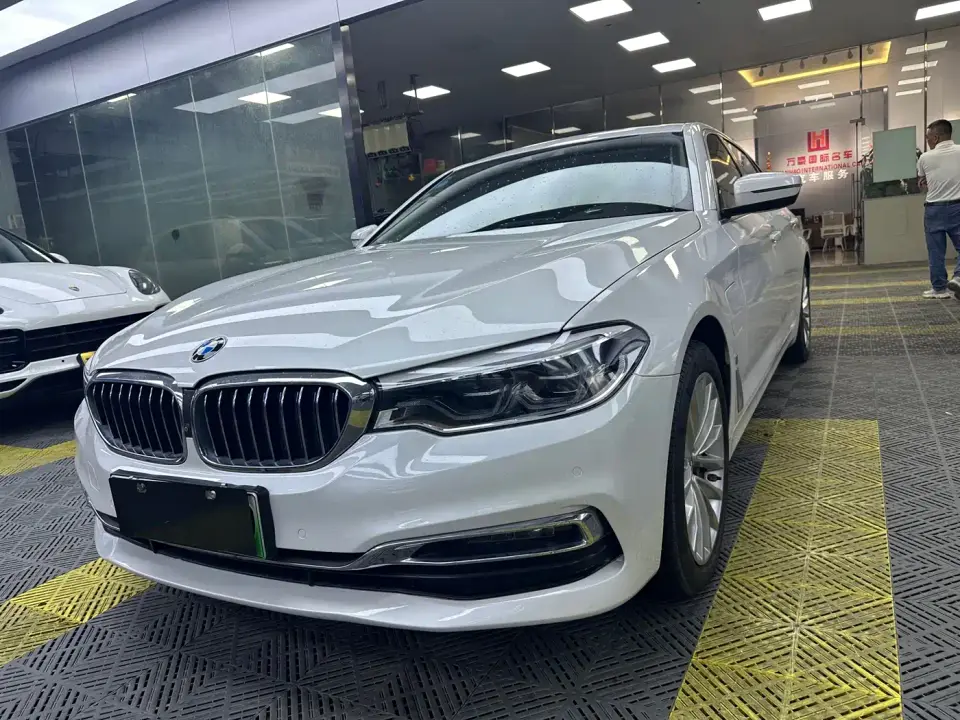 BMW 5 Series New Energy 530Le Luxury Package 2019