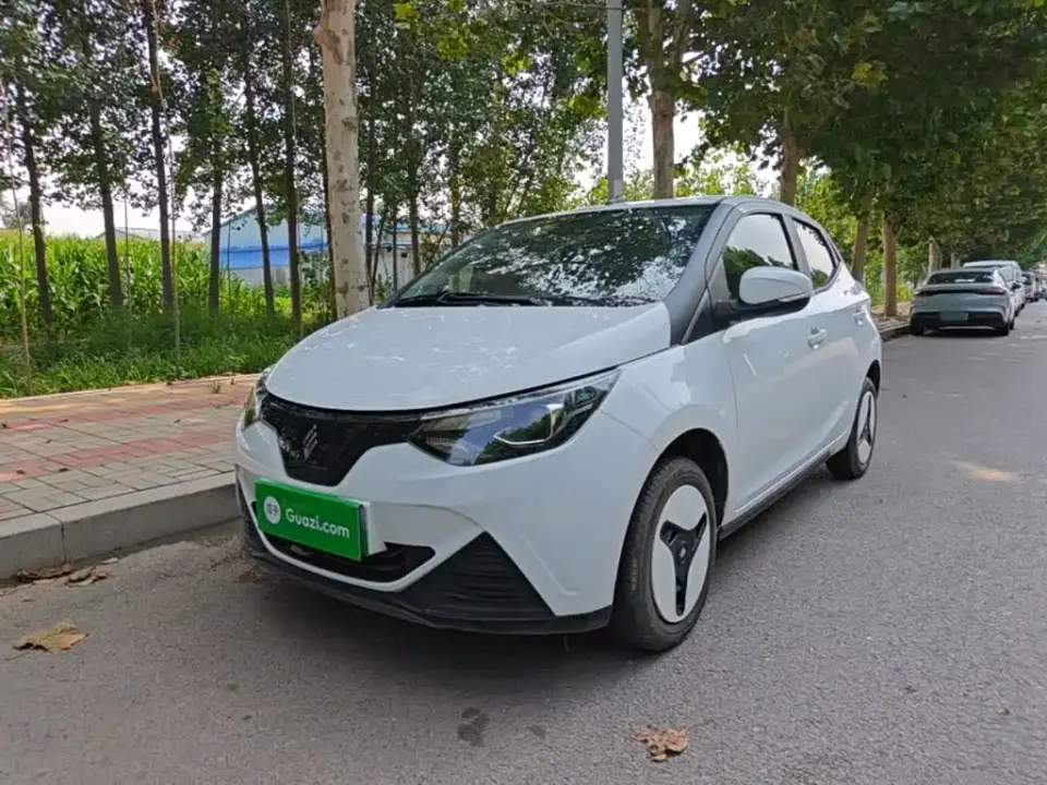JMCG New Energy Little Kirin 201km Comfort Model 2025