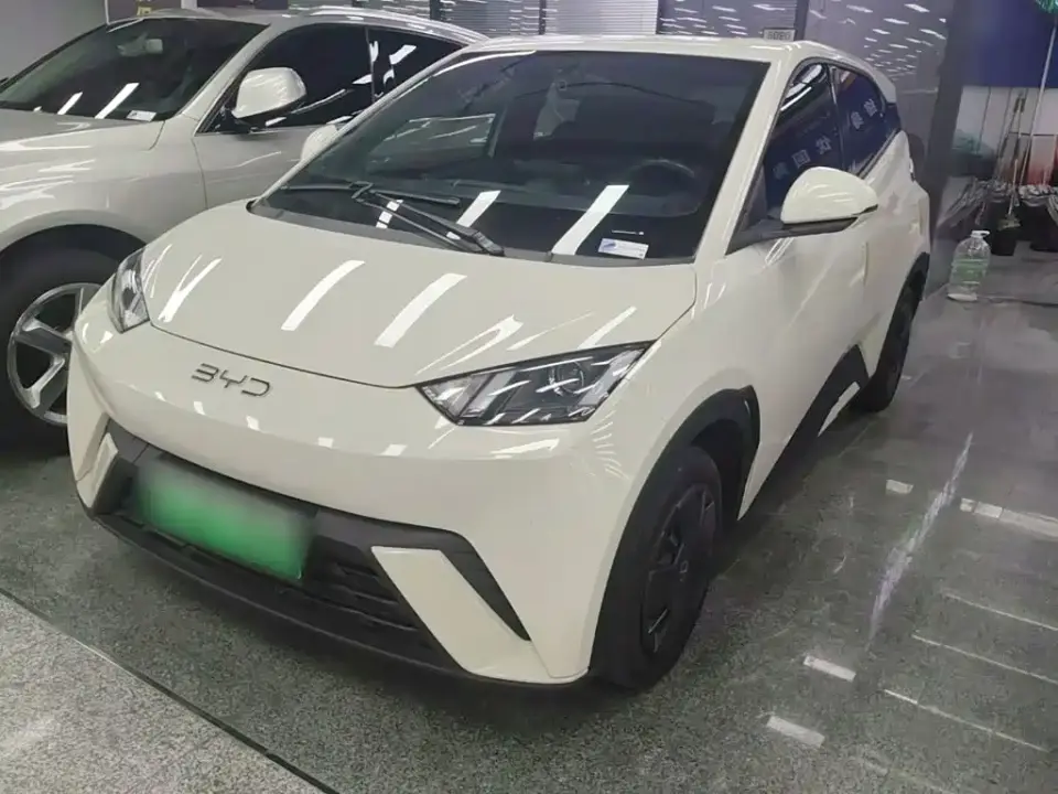 BYD Seagull Glory Edition 305km Vitality Edition 2024