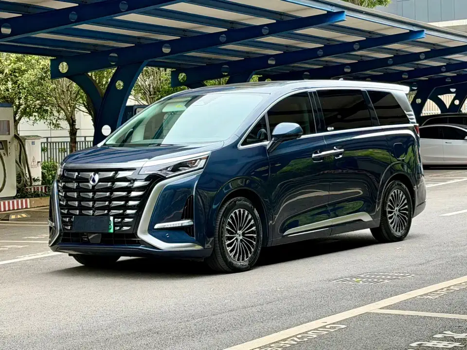 Denza D9 DM-i 1050 Premium 2024