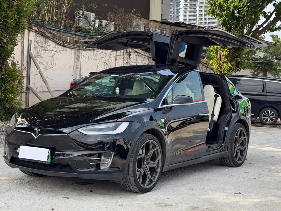 Tesla Model X Model X 75D 2019