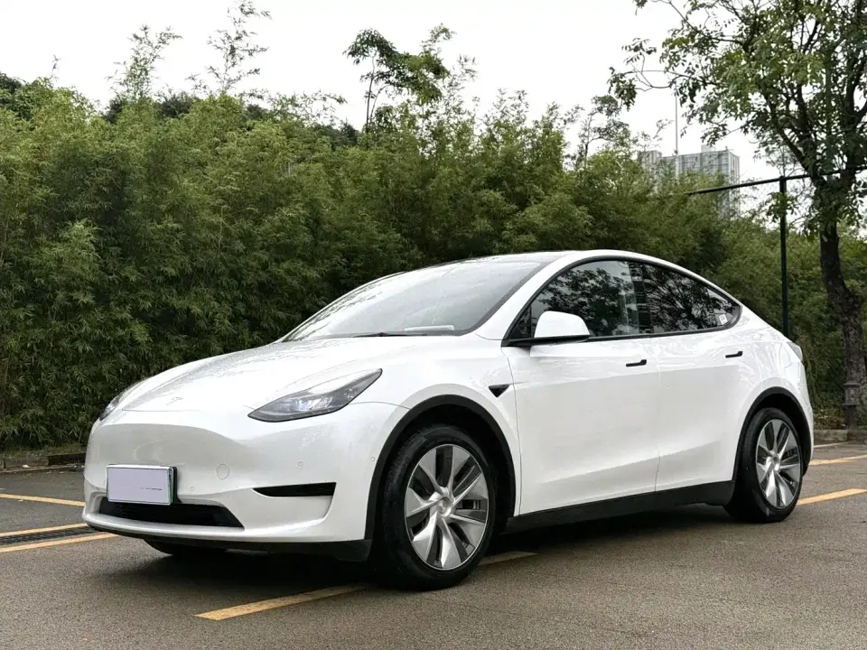 Tesla Model Y Rear-Wheel Drive Version 2022