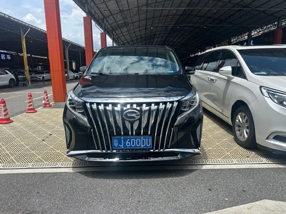 GAC Trumpchi M8 Leading Series 390T Premium Edition 2023