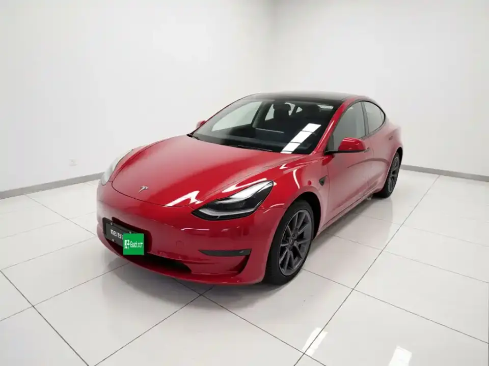 Tesla Model 3 Standard Range Rear-Wheel Drive Upgrade 3D6 2021