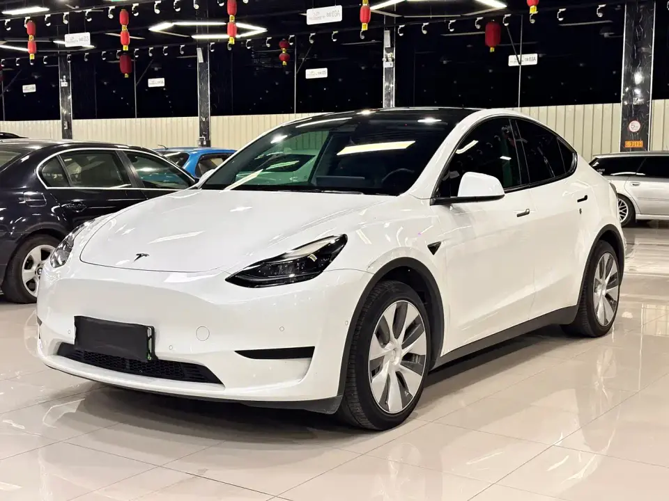 Tesla Model Y Rear-Wheel Drive Version 2022