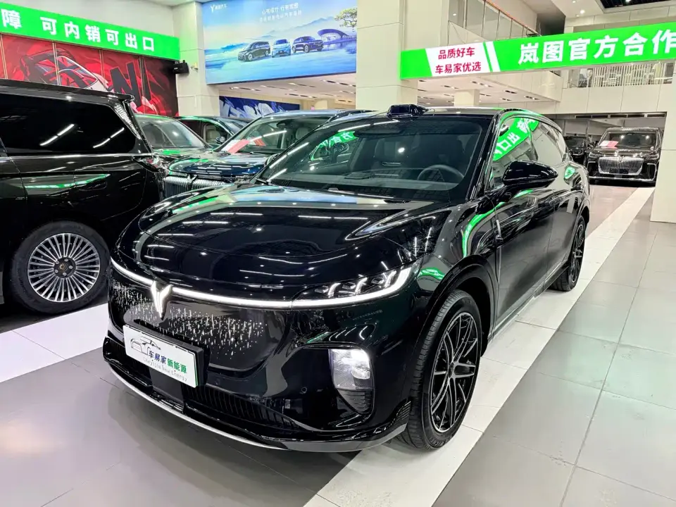 Voyah Auto Voyah Zhiyin Base 2025