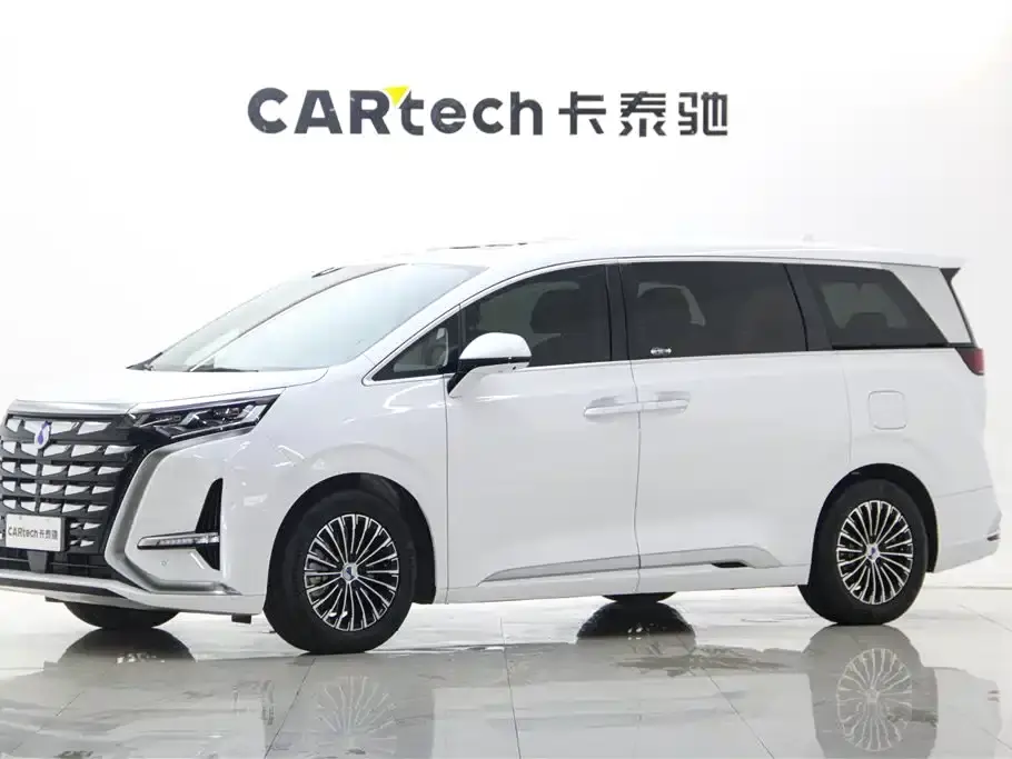 Denza D9 DM-i 1050 Premium 2025