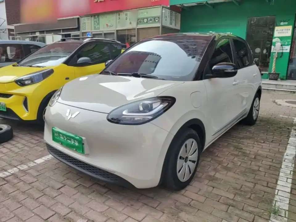 Wuling Motors Wuling Bingo 333km Quick Enjoy Version 2023