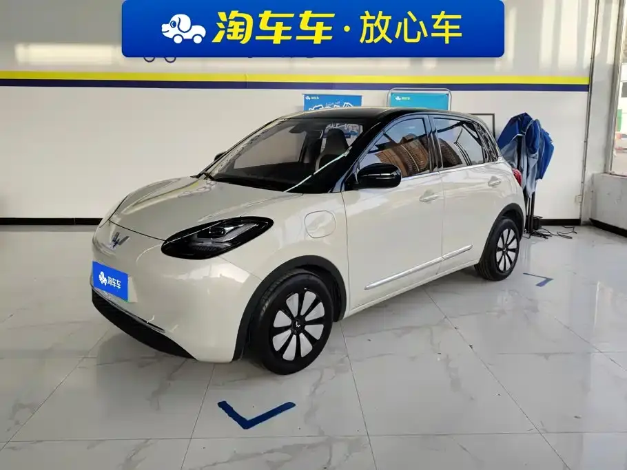 Wuling Motors Wuling Bingo Model 333km Joy+ Version 2024