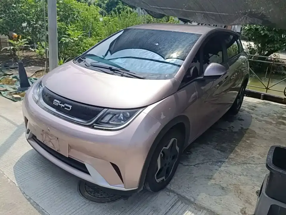 BYD Dolphin 405km Freedom Edition 2023