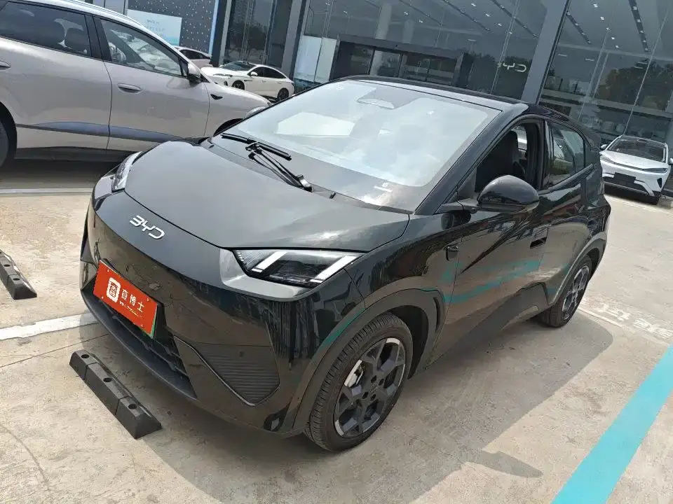 BYD Seagull Smart Drive Edition 305km Freedom Version 2025
