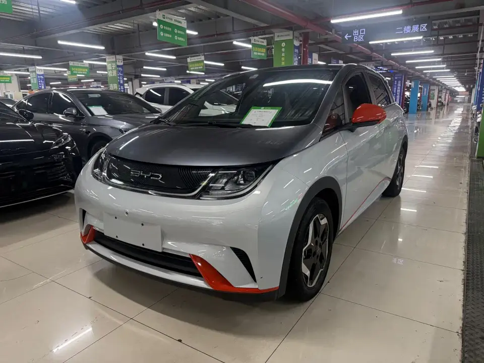BYD Dolphin Model 405km Fashion Edition 2022