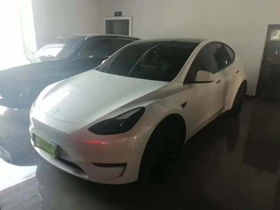 Tesla Model Y Model Long Range AWD 2021