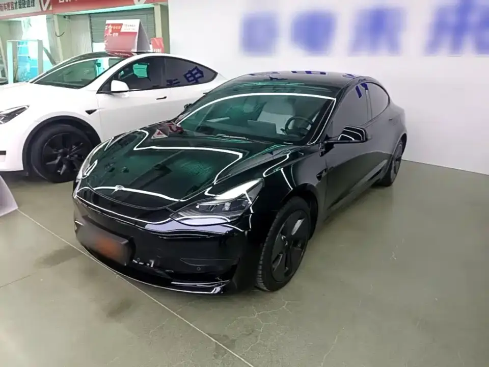 Tesla Model 3 Standard Range Rear-Wheel Drive Upgrade 2021