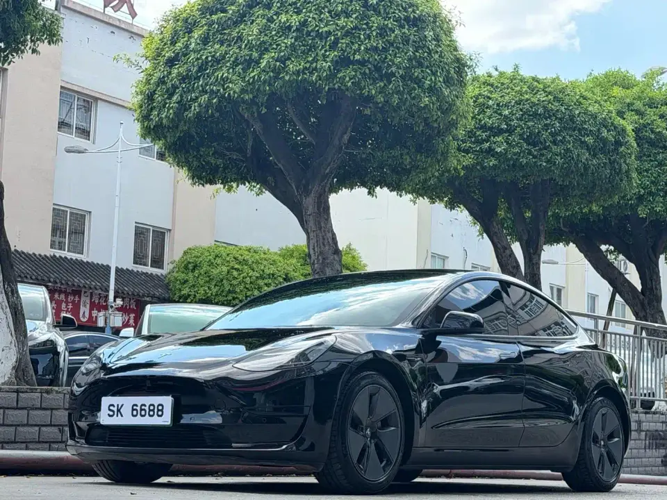 Tesla Model 3 Model Rear-Wheel Drive Version 2023