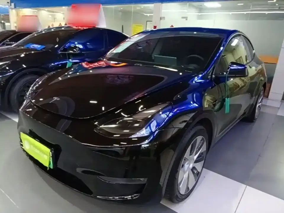 Tesla Model Y Model Long Range AWD 2021