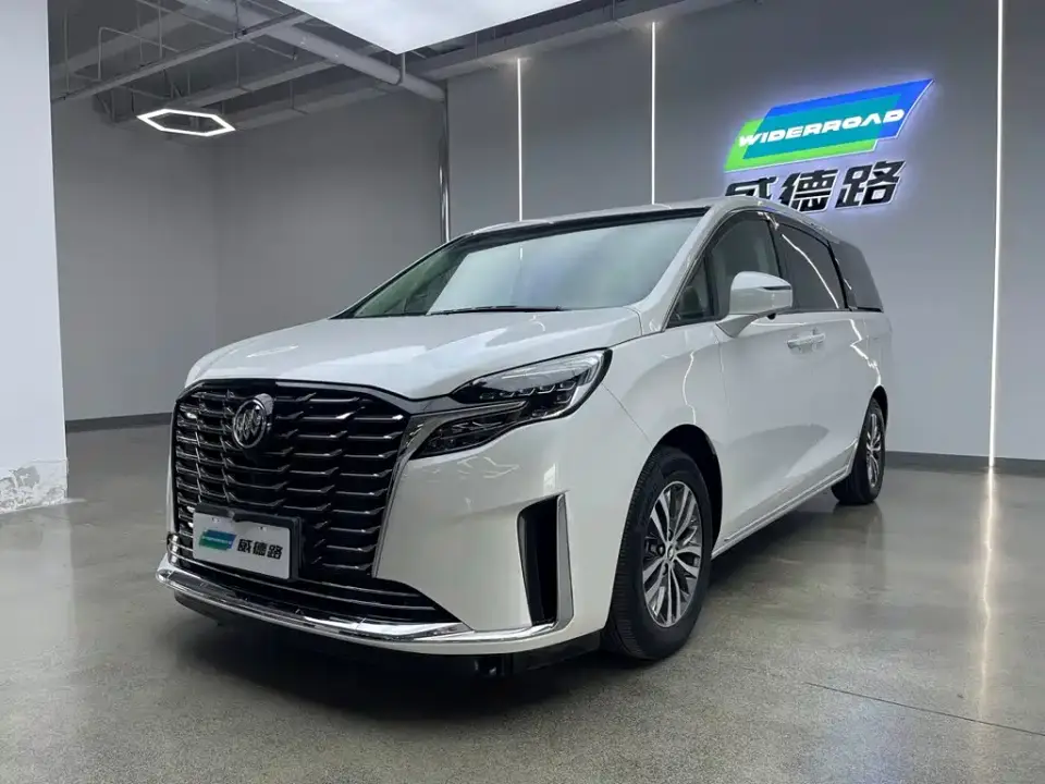 Buick GL8 ES Landmaster Comfort 2024