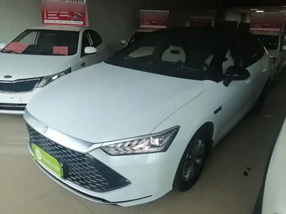 BYD Qin PLUS Glory Edition DM-i 55KM Leading 2024