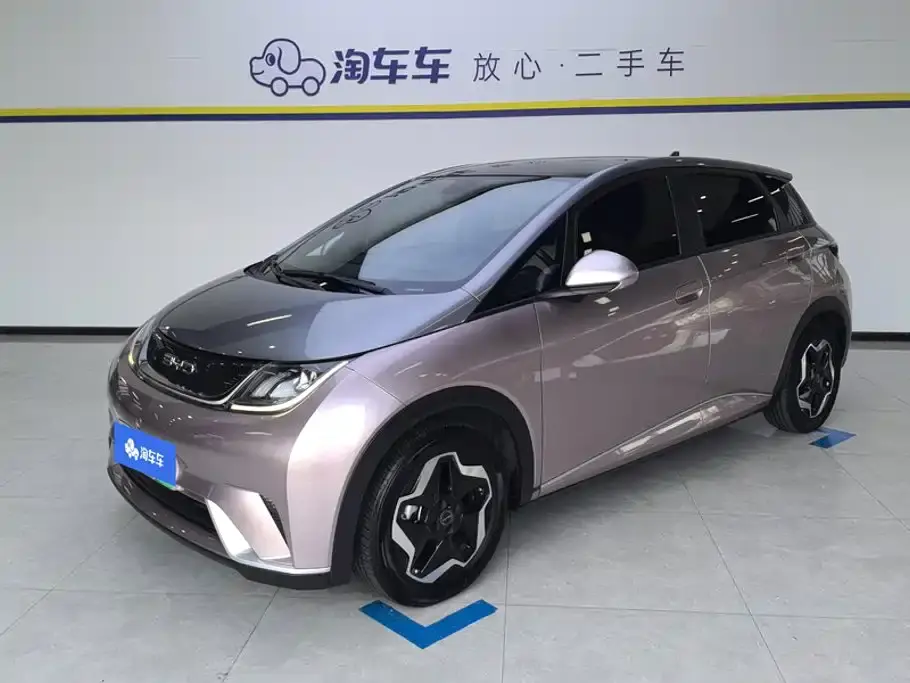 BYD Dolphin Model 405km Fashion Edition 2022
